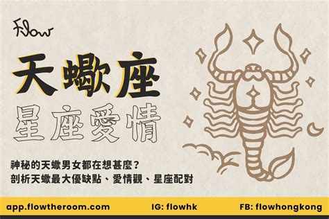 天蠍最合的星座|解讀神秘天蠍座2024：天蠍男女性格/優缺點/戀愛表現/最合襯星座。